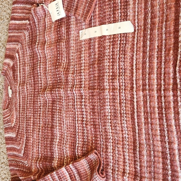 NWT a.n.a Women's Rusty Colored Multi Striped Sweater Size Medium - Picture 4 of 8
